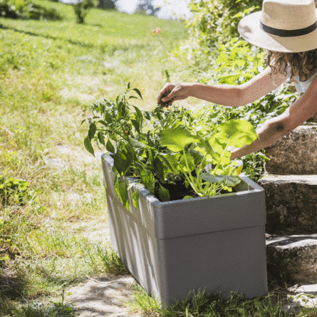 Jardinière CAREL 80 cm avec roulettes - 63 L