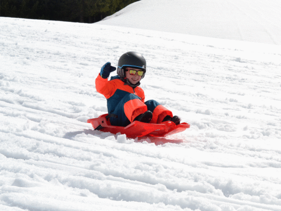 Luge de neige, luge de ski avec freins, luge classique dirigeable pour